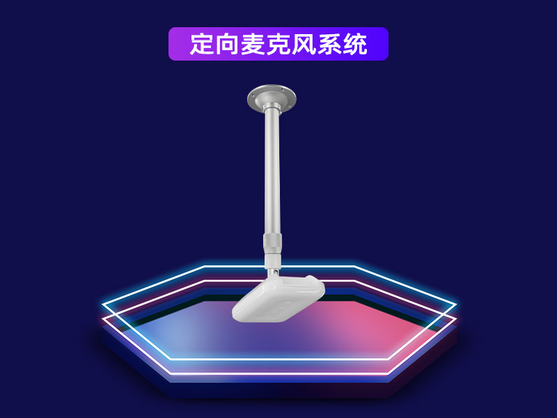 定向麥克風系統